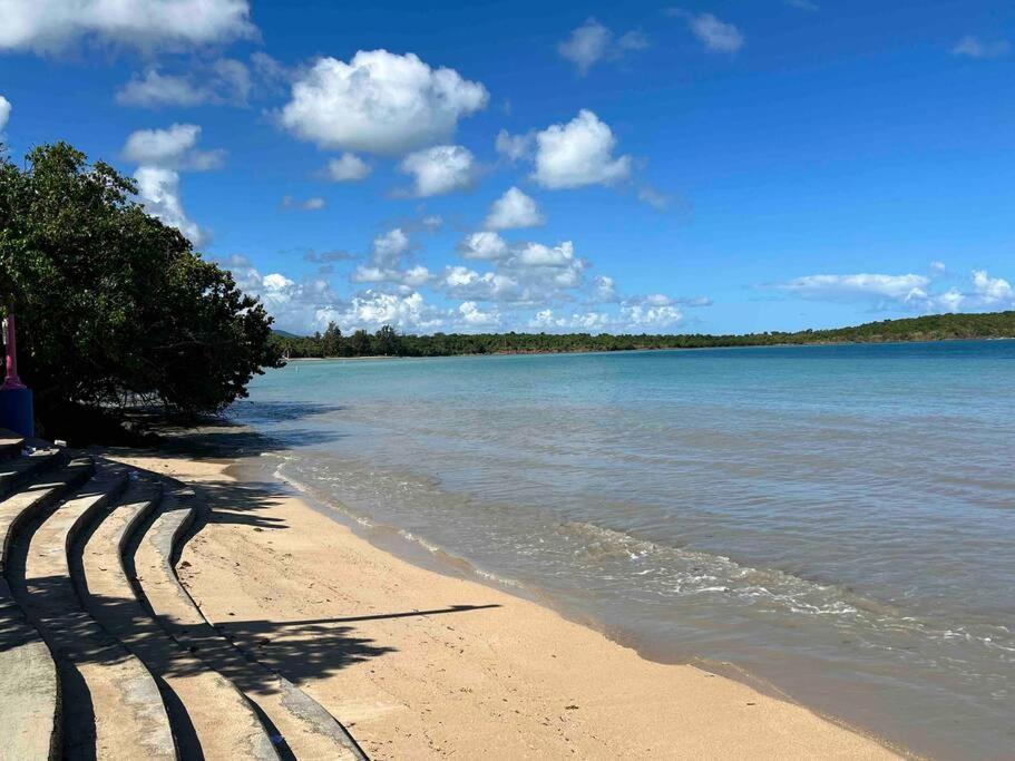 Casa Rosado Villa Marina Fajardo Yunque Seven Seas Eksteriør billede