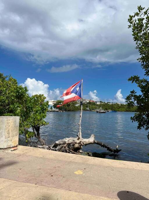 Casa Rosado Villa Marina Fajardo Yunque Seven Seas Eksteriør billede