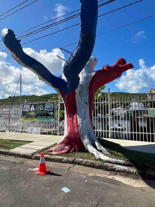 Casa Rosado Villa Marina Fajardo Yunque Seven Seas Eksteriør billede